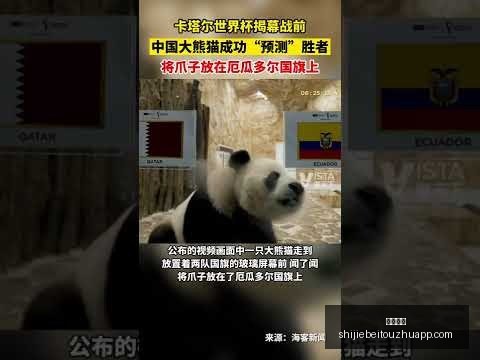 揭秘,曼联与热刺,抢夺科隆球,快三彩票,快三彩票平台,快三彩票App,快三彩票下载